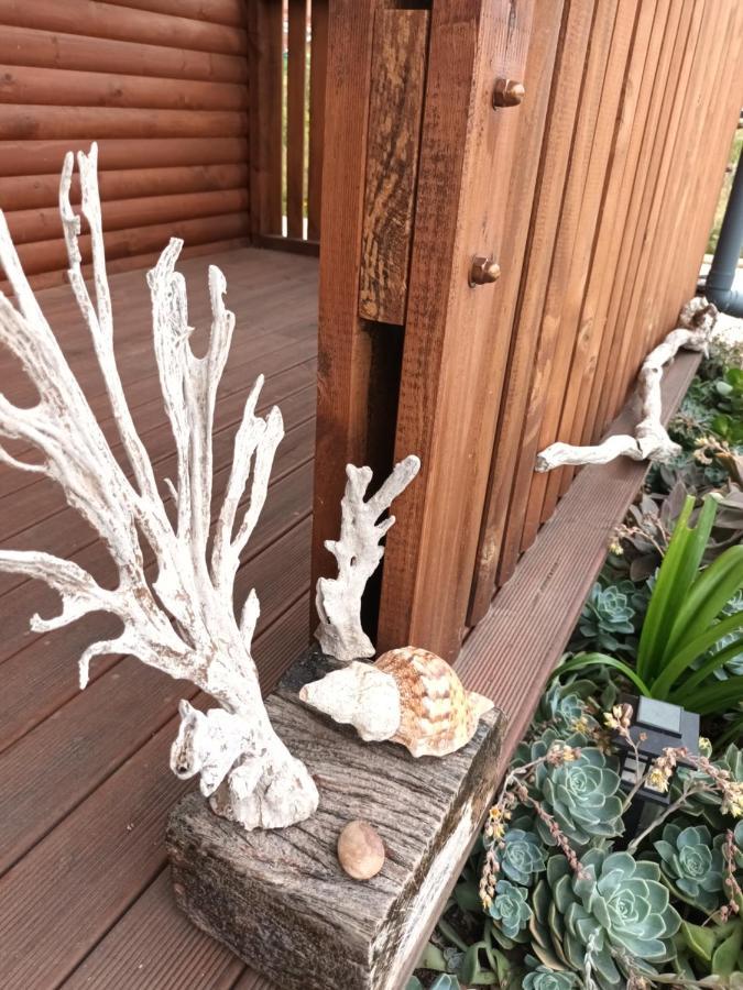 Chameleon Lodge Колчестер Екстер'єр фото