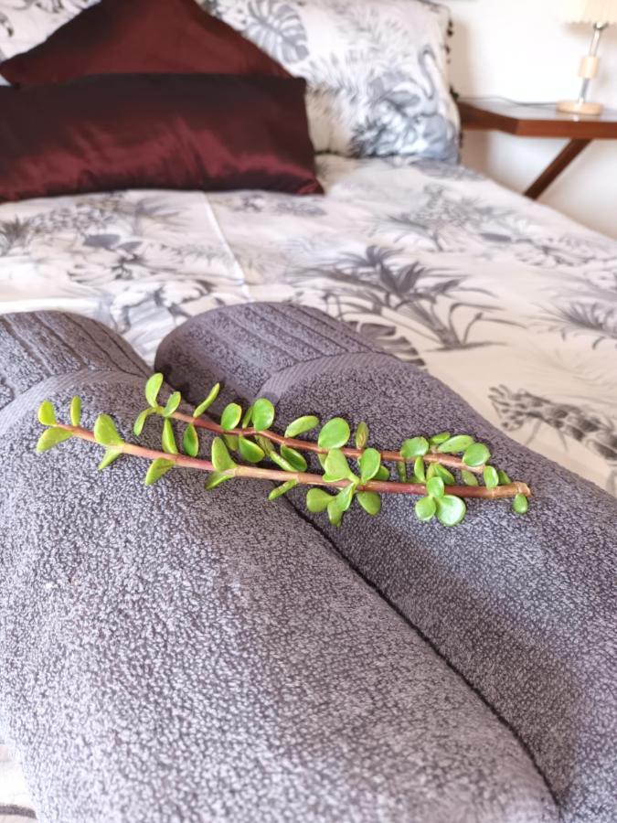 Chameleon Lodge Колчестер Екстер'єр фото