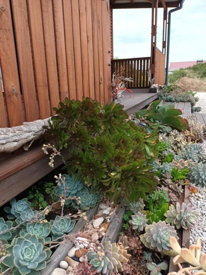 Chameleon Lodge Колчестер Екстер'єр фото
